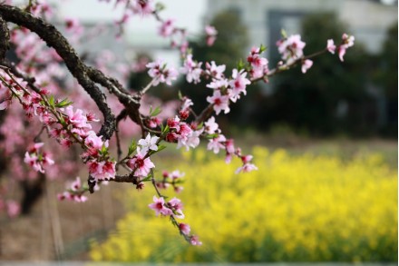隔音房、隔音降噪、隔音門、隔音材料、吸音材料、硅晶砂、八方聲學